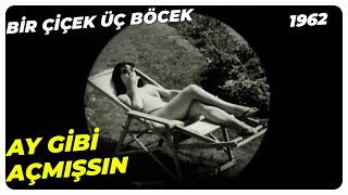 Bir Çiçek Üç Böcek - Ay Işığı Gibi Parlıyorsun | Leyla Sayar Orhan Günşiray | Yeşilçam Filmi