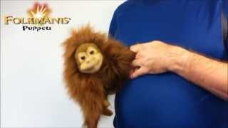 Orangutan menší na videu