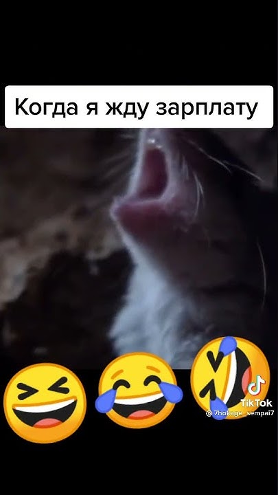 я жду зарплату - YouTube