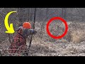 Deer hunting with traditional recurve bows driving deer