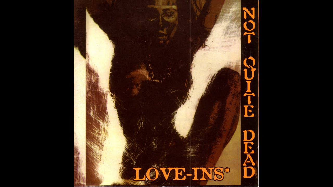 Not Quite Dead - Train of the midnite meat