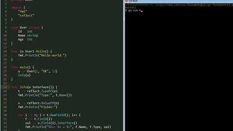 【Go编程基础】反射reflection-13