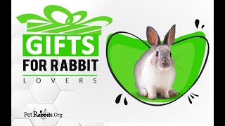 Bunny Novelty Socks Animal Lover Gift Just A Girl Who Loves Bunnies Socks Bunnies Lover Gifts Cute Animal Series Socks Bunny Novelty Socks Animal Lover Gift Just A Girl Who Loves Bunnies Socks Bunnies Lover Gifts Cute Animal Series Socks