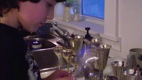 Educating Nathan: raising a profoundly gifted child