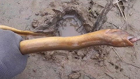 Câu Lươn Ở Nơi Này Sướng Rồi..Nhức Nách 3 Con Lươn To..Tìm Kiếm Hang Lươn Khủng