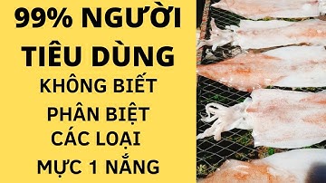 🦑 99% NGƯỜI MUA KHÔNG BIẾT PHÂN BIỆT CÁC LOẠI MỰC 1 NẮNG 🦑