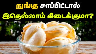 நுங்கு ஏன் சாப்பிடனும்? Nungu Health Benefits | Ice Apple Tadgola | 24 Tamil Health