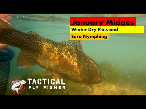 January Midges: Winter Dry Flies and Euro Nymphing 