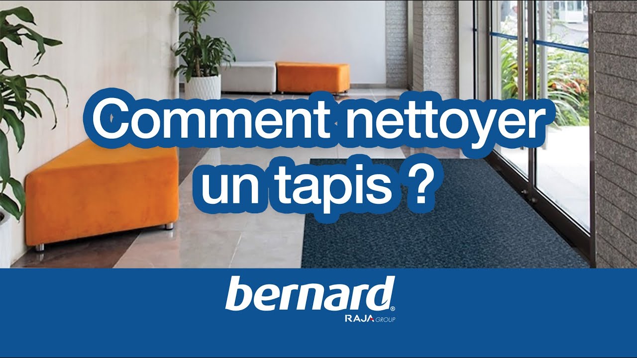 Nettoyeur de tapis professionnel pas cher