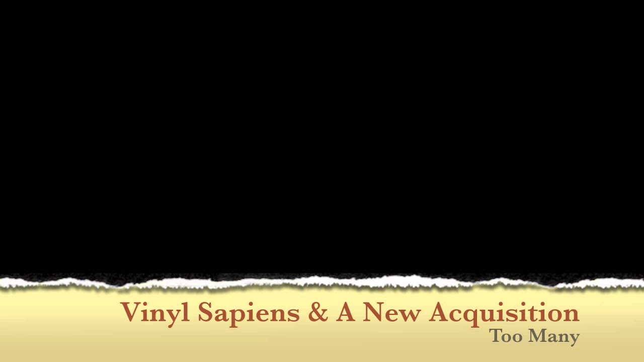 Vinyl Sapiens & A New Acquisition-Too Many