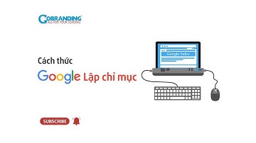 Cách thức Google lập chỉ mục | GOBRANDING Official