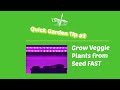 Growing Vegetable Plants Inside FAST: LED Full Spectrum Grow Lights