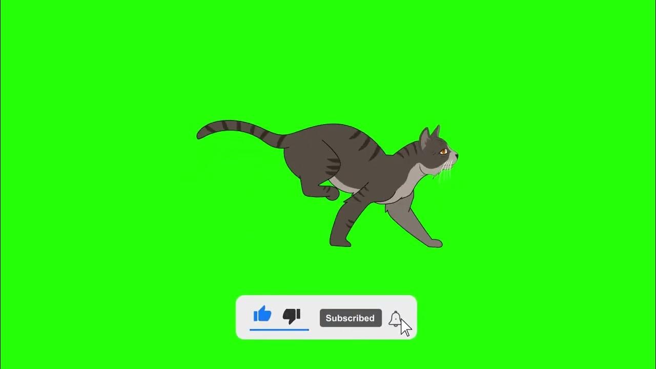 Кот мем хромакей