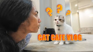 VLOG - CAT CAFE