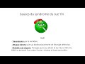 Les 6 Couches énergétiques En MTO 7 Jue Yin 