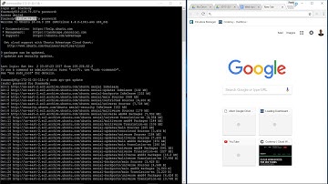 LEMP Cookbook: Install Nginx