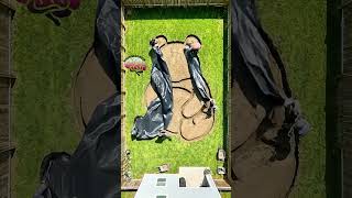Building a panda shaped koi pond in the garden!!