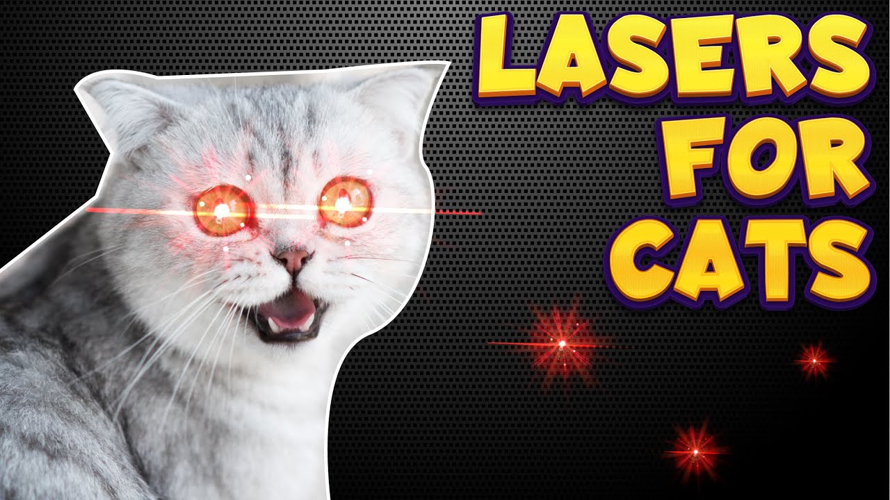 CAT GAMES LASERS FOR CATS 4K ULTRA HD INTERACTIVE VIDEO YouTube