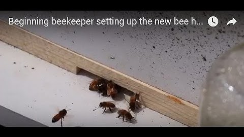 Beginning beekeeper setting up the new bee hive.