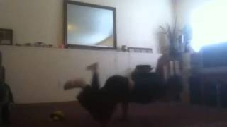 Jackhammer combo