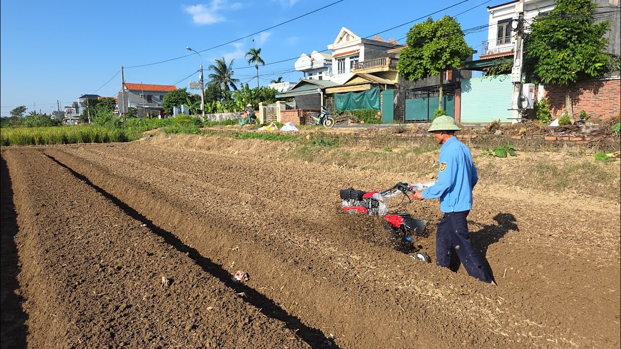 Máy lên luống chuyên dụng MITSUBISHI 655MS thế hệ mới 2026 tốt nhất hiện nay.