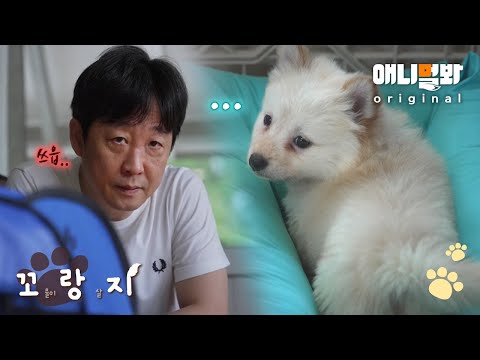 달콤하기만 하던 꼬물이들의 삶.. 처음으로 견생 쓴맛을 맛봤다. [꼬랑지 EP.5]ㅣLittle munchkins&amp;#39; First Bitterness In Life