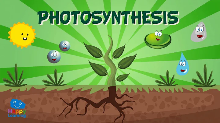 Photosynthesis | Educational Video for Kids - DayDayNews