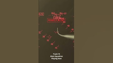 Alect Squadron is a National Disappointment #acecombat #acecombatx #shorts #gaming #acecombat7