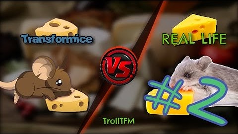 TRANSFORMICE VS REAL LIFE #2