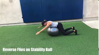 Reverse Flies on Stability Ball