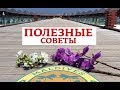 Мальдивы. Полезные советы