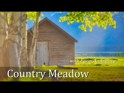 Country Meadow, Farm Ambience for Relaxation