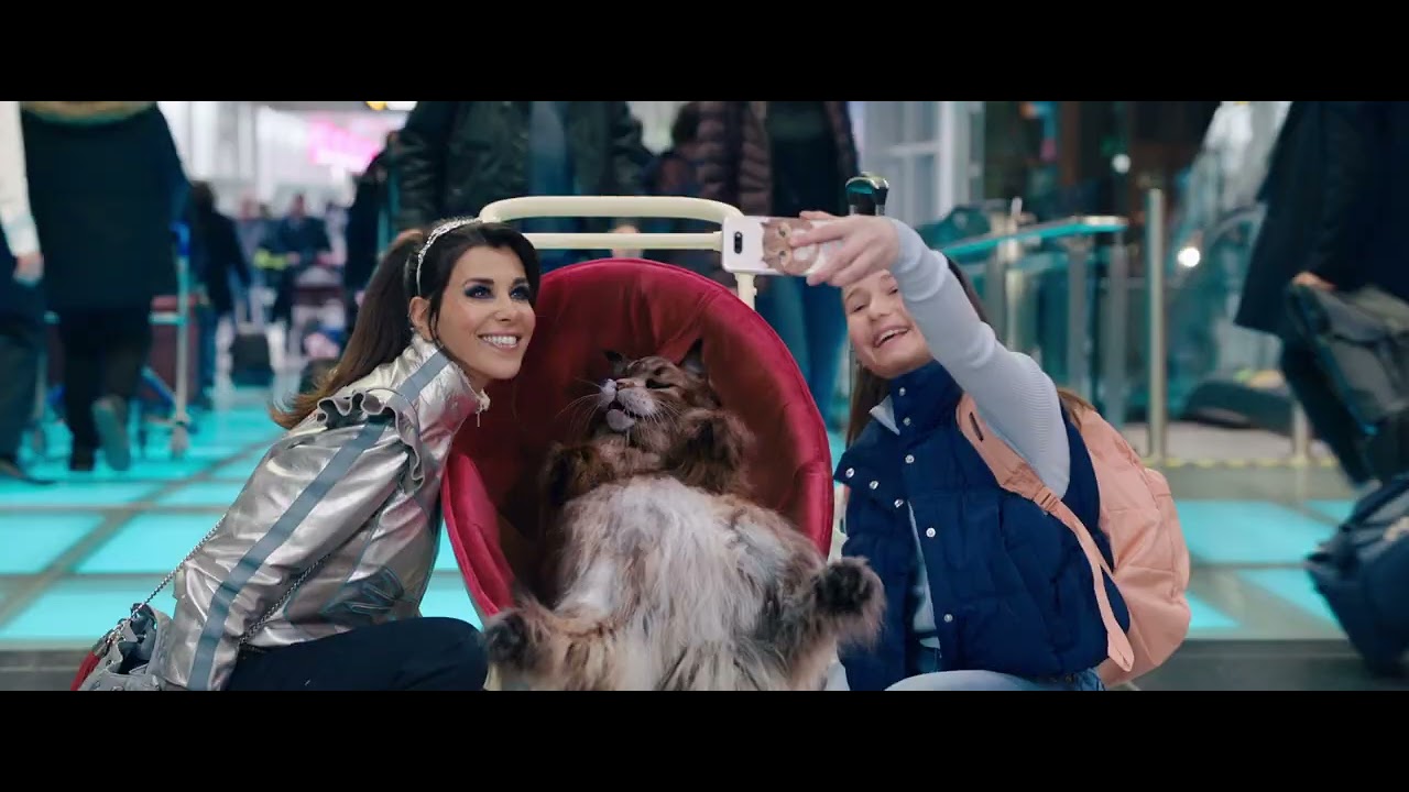 Bande annonce de Cat & Dog (VF)