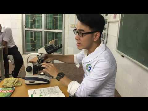 Video Bài 12- Sinh học 10: 