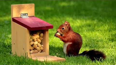 Asset Management in a Nutshell for Local Government