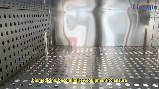 Industrial Precision Oven | 300°C High Accuracy Drying Oven