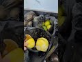 Продукты с рынка в Нигерии. Дорого или дешево?🧐