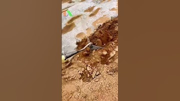 Nông nghiệp công nghệ cao, Tự động hóa trong sản xuất nông nghiệp