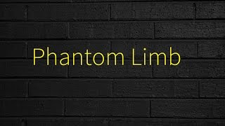 Yellow Mellow - Phantom Limb [Lyrics]