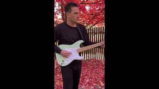 Never Coming Home (Patrick Walsh)