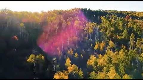 سورة النمل 20-26 بصوت الشيخ محمود المبيض