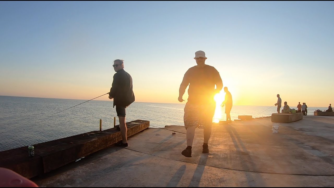 Sommermakreller på Løkken Mole