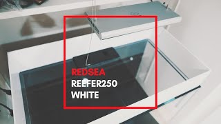 RedSea REEFER 250 White 2019/12/10設置　前編