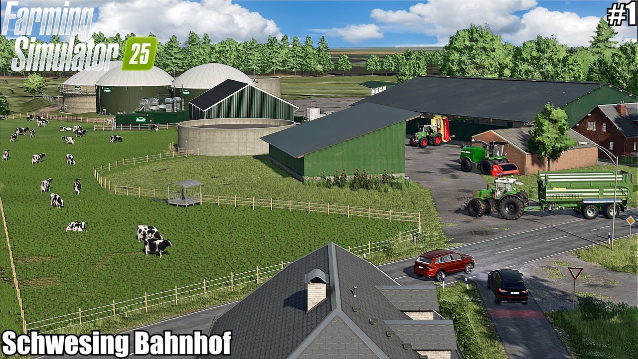 STARTING A NEW CAREER ON SCHWESING BAHNHOF | SCHWESING BAHNHOF | 1