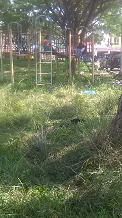 Pasangan remaja bikin mesum di taman belakang ramayana pangkalan kerinci...