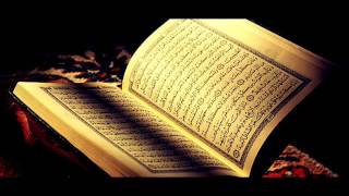 Holy Quran Page 23 - Sheikh Maher Al Muaiqly