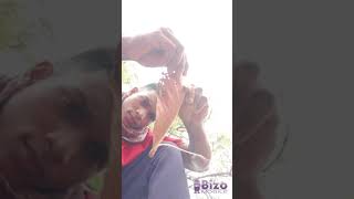 Magic Trick Ms Silash Reverse