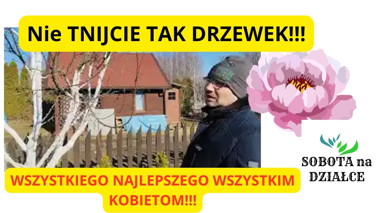 NajwiększY Błąd przy cięciu DRZEWEK OWOCOWYCH!!!