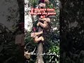 Almost 😅 #funnyshorts #shorts