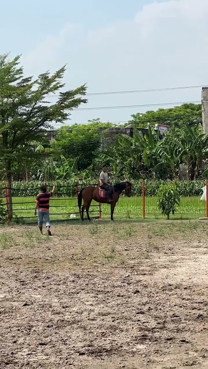 KUDANE MANGAN TURU MANGAN TURU, LALI KARO PERINTAHE